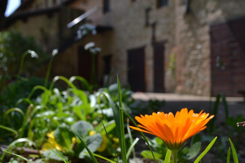 Agriturismo Nestore Exterior foto