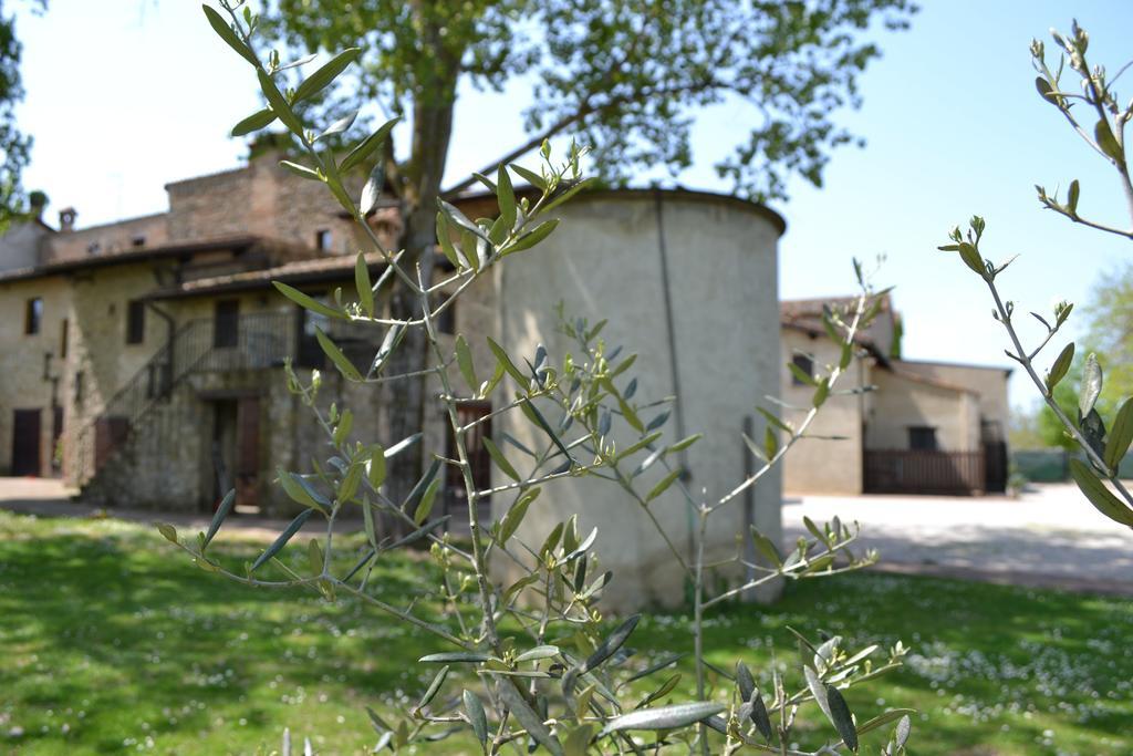 Agriturismo Nestore Exterior foto